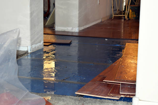 Professional Basement Water Removal technician working in Crockett Mills, TN